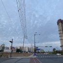 하늘멍가 이미지