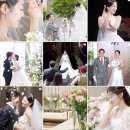 W2. 본식DVD 계약 후기 &#39;화이트모티브&#39;