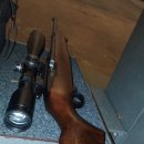 나이콘 | Ruger 10/22 사격후기