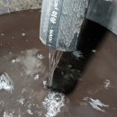 에이스디젤수리전문점 이미지