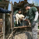 자립농장 이미지