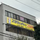 노라조 야옹아 이미지