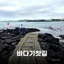 제주바다 - 종로구 종로35길 18 | 제주 바다기찻길 후기 물때 모르고 갔다가 조금 아쉬웠던 곳 인스타 감성 기대한다면 물때 꼭 확인