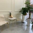 조아펫살롱 이미지