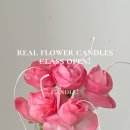 (원데이)히아시스 플라워 캔들 이미지