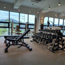 양지헬스 이미지