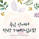 하늘나라주