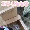 나눔농장 이미지