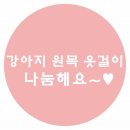 코코제인 이미지