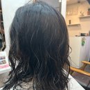 살롱드온리