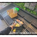 나야나5