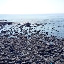 신산환해장성 이미지