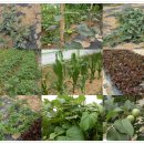 아인농장 이미지