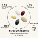 건강한에너지 | 하루 한포로 완성하는 건강한 습관 이뮨에너지팩 올인원영양제 하나로 끝낸 후기