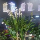 호수당구클럽 이미지