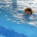 라테라스B 이미지