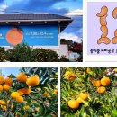 중앙로101번길 이미지