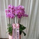 한세엔지니어링(주) 네이버블로그