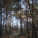 금강올레길 이미지