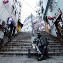 아코디언 켜는 사람 이미지