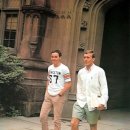 아이비 카카오 검색결과