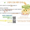 베스트고양이병원 이미지