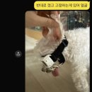 (하반기)할머니, 할아버지의 멋진 동화책 만들기 도전 | 2025년 하반기 : 알차게 보냈나요? 네니오