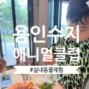 새용인동물약국 | 용인 아기랑 가볼만한 곳 애니멀클럽 수지점 내돈내산 후기｜실내 동물체험 추천