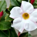 하도문 스테이 이미지