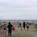 몽산포자동차야영장 이미지