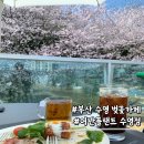 어반플랜트 수영 이미지