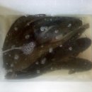 한탄강 큰 집 이미지