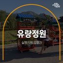 피그리프 스튜디오