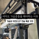 빅스짐 여성전용 상남점 네이버블로그