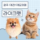 라이크펫 | 라이크펫 방문 후기 : 강아지와 고양이를 한자리에서 만날 수 있는 공간