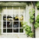 진성건업 이미지