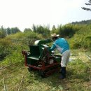 주용농장 이미지