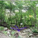 청수펜션 이미지