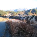 명선