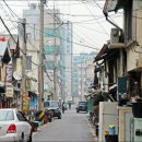 선화초교 Daum카페
