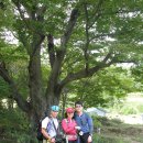 영기축사 이미지