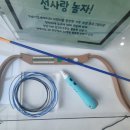 선사랑 놀자(하반기) 이미지