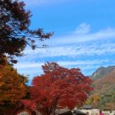 문경새재 상징문~문경새재 제3주차장 가로수길 | 추천 장소, 가을 여행 주간, 가을 단풍 명소, 문경 당일 치기, 문경새재 도립 공원, 가을 데이트 코스...