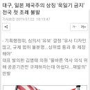 대구, 일본 제국주의 상징 '욱일기금지'전국 첫 조례 불발 이미지