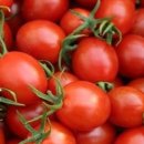 기찬농장 이미지