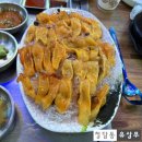 회와 멍게 친구들 이미지