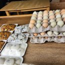 충효약국 이미지