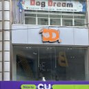 부산애견호텔 24시 강아지 유치원 미용 도그드림 서면점 이미지