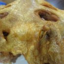 붐식당 (BOOm)식당 이미지