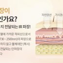디어 에스테틱